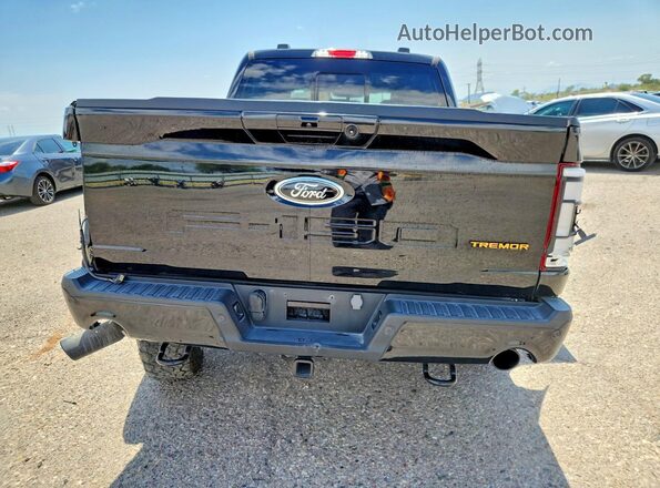 1FTEW1E81PFB85000 2023 FORD F150 Black Вид ззаду