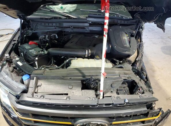 1FTEW1E82NFB10478 2022 FORD F150 Черный Вид задней части салона