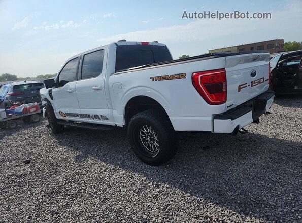1FTEW1E82PFC16674 2023 FORD F150 White Tył lewy