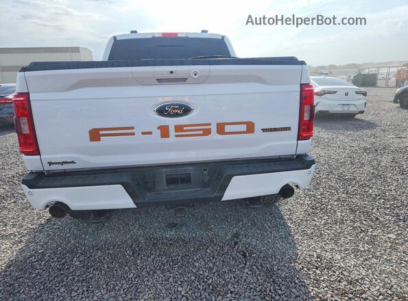 1FTEW1E82PFC16674 2023 FORD F150 White Widok z tyłu