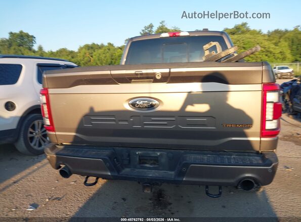 1FTEW1E83NFC20472 2022 FORD F150 Brown 