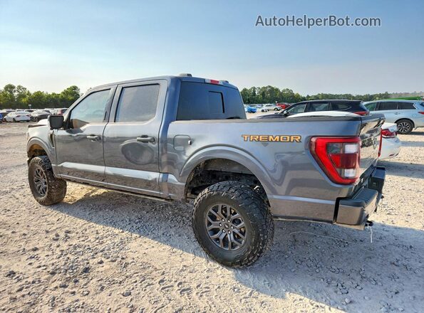 1FTEW1E83PFC59677 2023 FORD F150 Gray Rear left