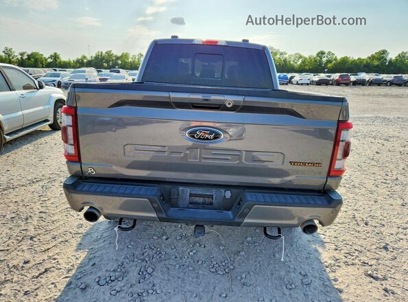 1FTEW1E83PFC59677 2023 FORD F150 Gray Rear view