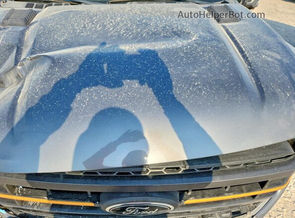 1FTEW1E83PFC59677 2023 FORD F150 Gray Rear interior view