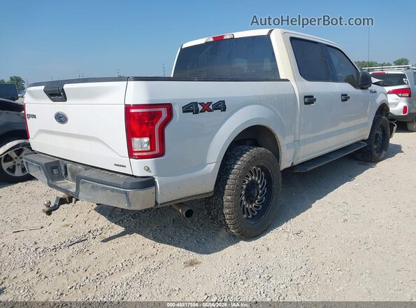 1FTEW1E84GKF57968 2016 FORD F150 Белый Задняя правая четверть
