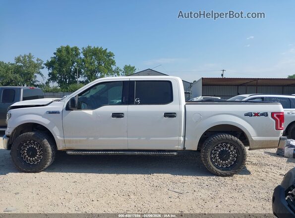 1FTEW1E84GKF57968 2016 FORD F150 Белый 