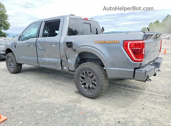 1FTEW1E87PFD01994 2023 FORD F150 Gray Tył lewy
