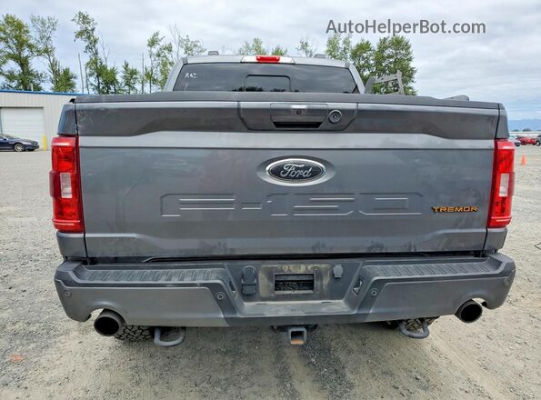 1FTEW1E87PFD01994 2023 FORD F150 Gray Widok z tyłu