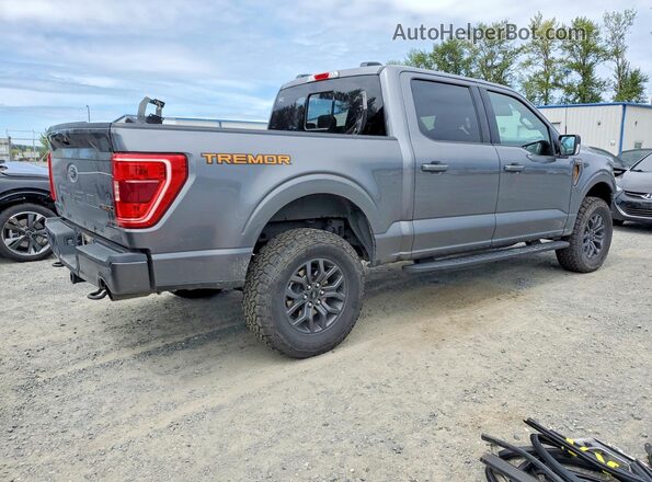 1FTEW1E87PFD01994 2023 FORD F150 Gray Tył prawy