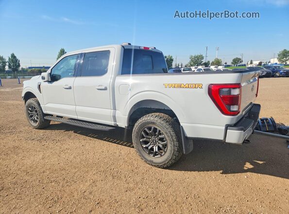 1FTEW1E8XPFC95981 2023 FORD F150 Gray Tył lewy