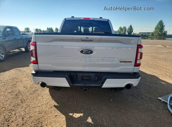 1FTEW1E8XPFC95981 2023 FORD F150 Gray Widok z tyłu