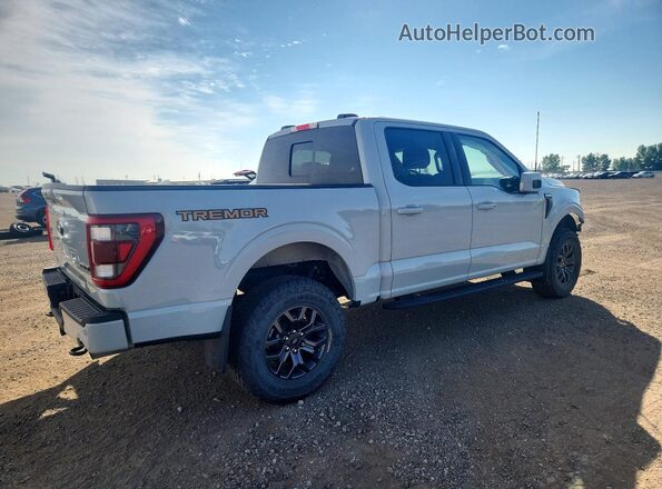 1FTEW1E8XPFC95981 2023 FORD F150 Gray Tył prawy