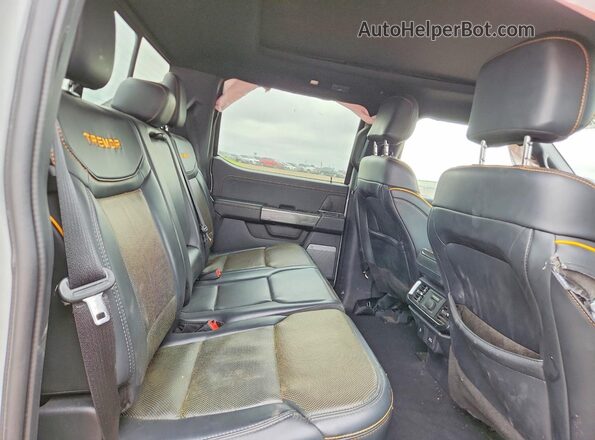 1FTEW1E8XPFC95981 2023 FORD F150 Gray Widok tylnych siedzeń