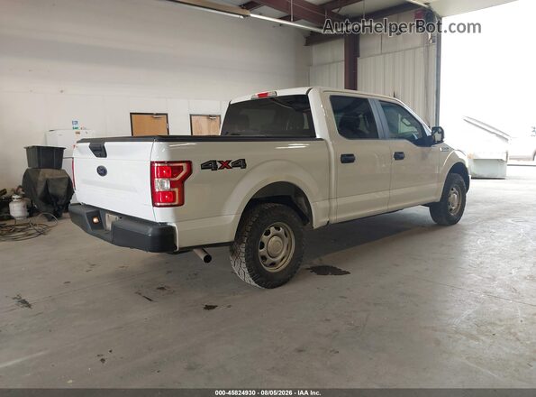1FTEW1EB0JFD05081 2018 FORD F150 White Tył prawy
