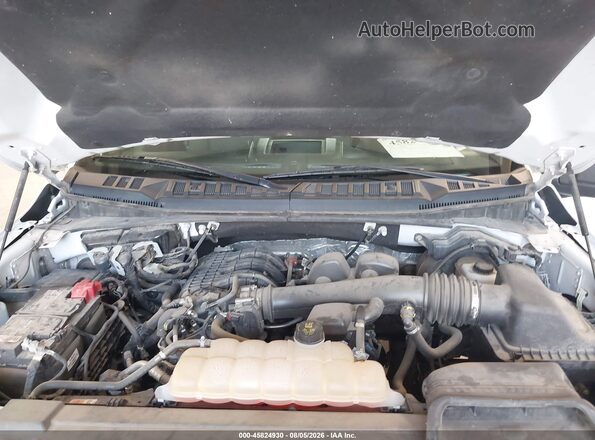 1FTEW1EB0JFD05081 2018 FORD F150 White Widok z tyłu