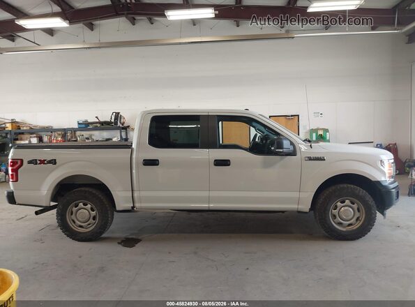 1FTEW1EB0JFD05081 2018 FORD F150 White Widok wnętrza z tyłu
