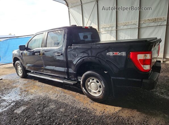 1FTEW1EB1PKF02180 2023 FORD F150 Черный Задняя левая четверть