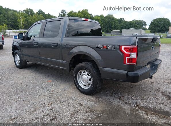 1FTEW1EB4LKF21381 2020 FORD F150 Gray Հետևի ձախ
