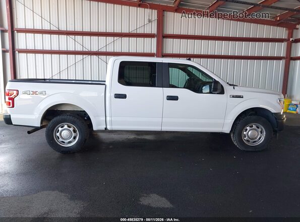 1FTEW1EB6LKE13392 2020 FORD F150 White 