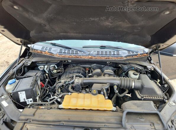 1FTEW1EB7KFC10468 2019 FORD F150 Угольный Вид задней части салона