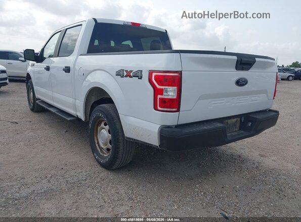 1FTEW1EB7KKC24829 2019 FORD F150 White Rear left