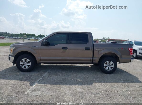 1FTEW1EB8KKD65568 2019 FORD F150 Brown 