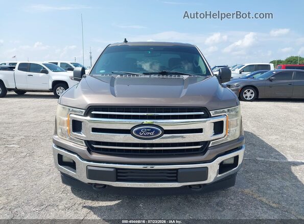 1FTEW1EB8KKD65568 2019 FORD F150 Brown Widok wnętrza z tyłu