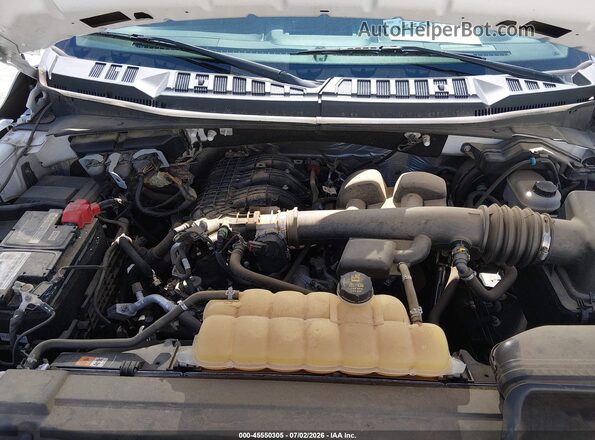 1FTEW1EB8LKF21576 2020 FORD F150 White Widok z tyłu