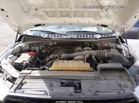 1FTEW1EB8LKF21643 2020 FORD F150 White უკანა ხედი