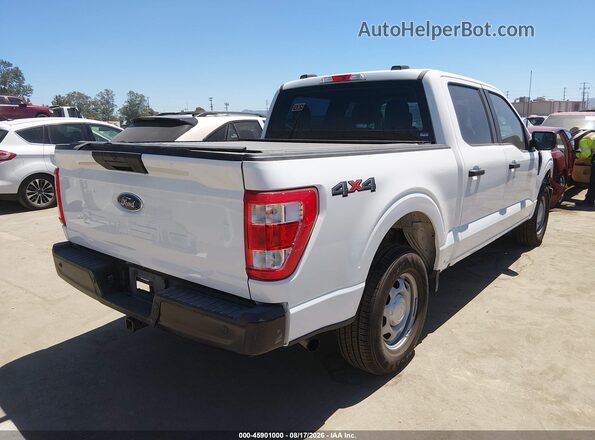 1FTEW1EB8PKF77295 2023 FORD F150 White Trasero derecho