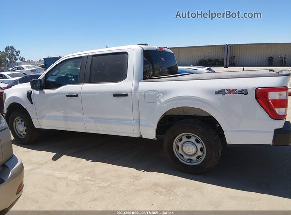 1FTEW1EB8PKF77295 2023 FORD F150 White Vista interior de 360 grados
