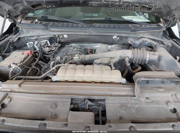1FTEW1EB9LKE13399 2020 FORD F150 Gray Widok z tyłu