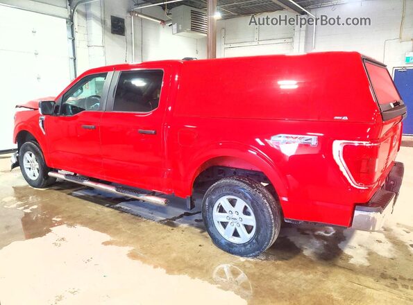 1FTEW1EBXPKF49515 2023 FORD F150 Red Задня ліва чверть