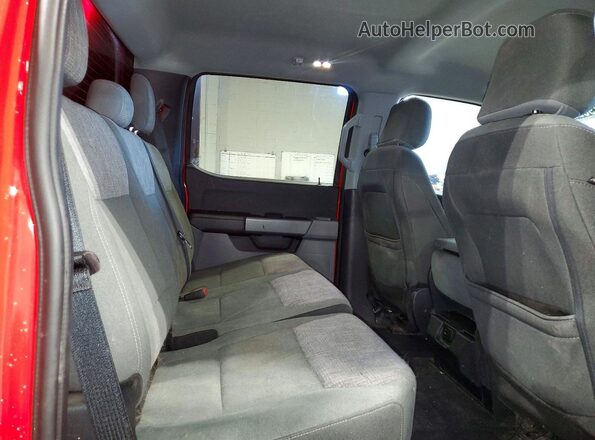 1FTEW1EBXPKF49515 2023 FORD F150 Red Вид задніх сидінь