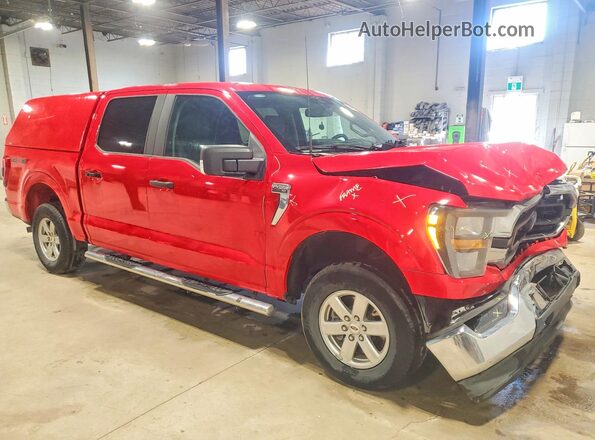 1FTEW1EBXPKF49515 2023 FORD F150 Red Передня права чверть