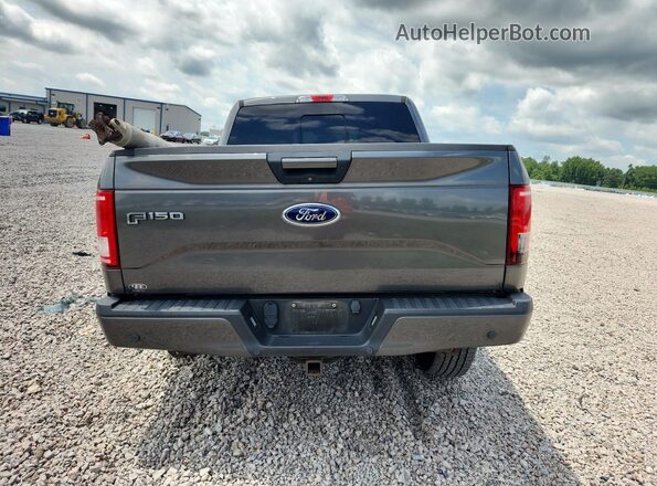 1FTEW1EF0HFB05041 2017 FORD F150 Gray Vista trasera