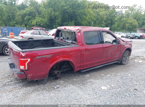 1FTEW1EF3GFB97034 2016 FORD F150 Red Rear right