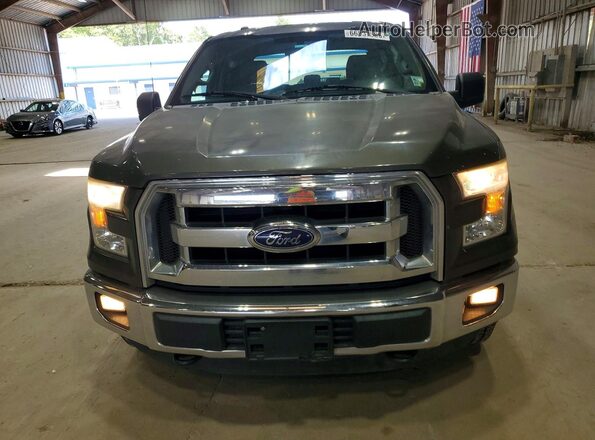 1FTEW1EF3GKD02257 2016 FORD F150 Gray Rear seats view