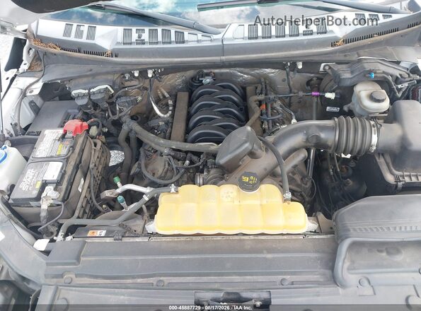 1FTEW1EF5HFA83408 2017 FORD F150 Белый Вид сзади