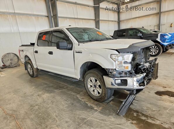 1FTEW1EF6GFC08477 2016 FORD F150 White Передня права чверть