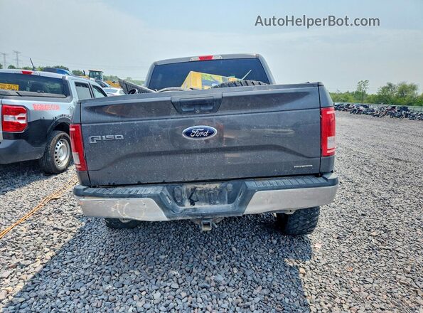 1FTEW1EF7GFB37774 2016 FORD F150 Gray Հետևի տեսք