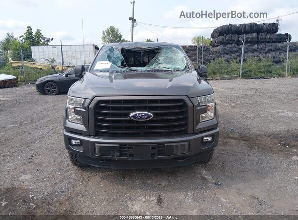 1FTEW1EF7GFC97377 2016 FORD F150 Gray Սարքավորումների վահանակի տեսք