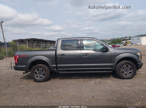 1FTEW1EF7GFC97377 2016 FORD F150 Gray Սալոնի հետևի տեսք