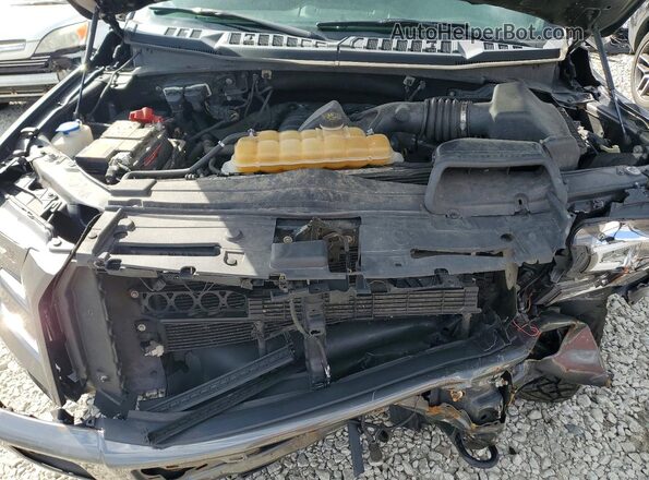 1FTEW1EF9HFC64446 2017 FORD F150 Серый Вид задней части салона