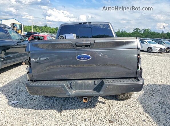 1FTEW1EF9HFC64446 2017 FORD F150 Серый Вид сзади