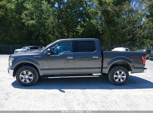 1FTEW1EG0GFA77104 2016 FORD F150 Серый 