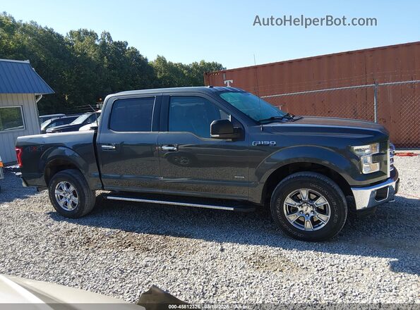 1FTEW1EG0GFA77104 2016 FORD F150 Серый Панорамный вид салона 360°