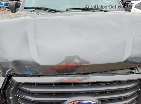 1FTEW1EG0GFC68568 2016 FORD F150 Gray Սալոնի հետևի տեսք