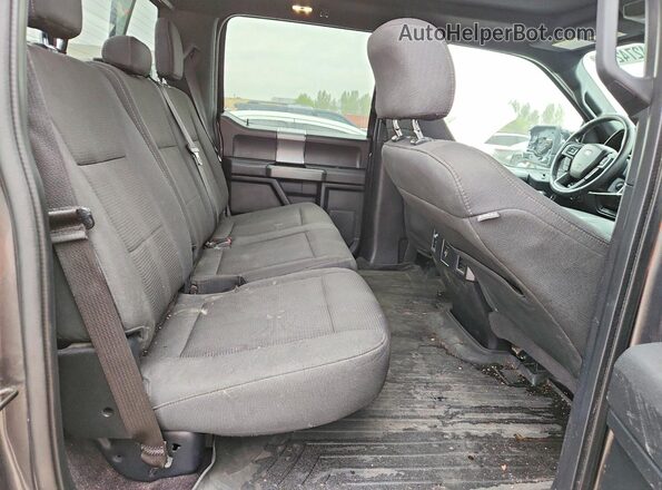1FTEW1EG0GFC68568 2016 FORD F150 Gray Հետևի նստատեղերի տեսք