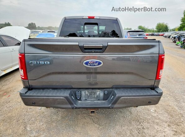 1FTEW1EG0GFC68568 2016 FORD F150 Gray Հետևի տեսք